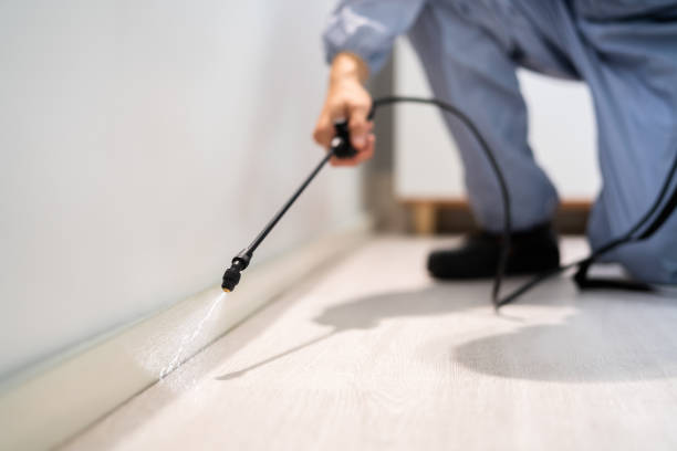 Licensed Rodent Control service in Scott, LA - Nex Pest Control