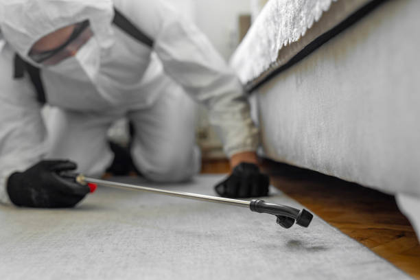 Professional Rodent Control technician working in Scott, LA