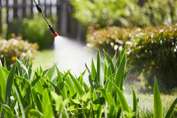 24/7 Emergency Rodent Control experts in Scott, LA