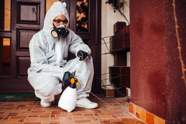 Reliable Rodent Control contractor in Scott, LA by Nex Pest Control
