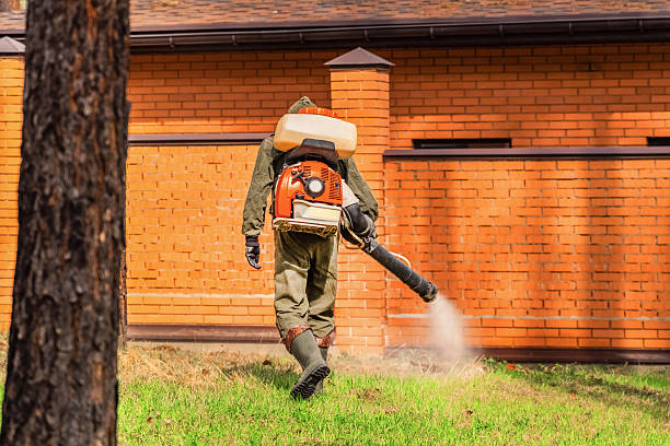 Top rated local Rodent Control specialists in Scott, LA